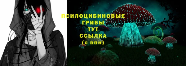 стафф Бородино