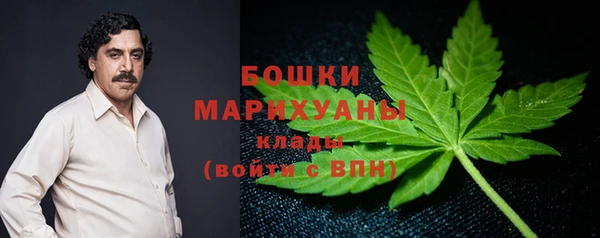 2c-b Богородицк