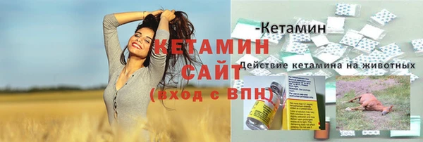 стафф Бородино