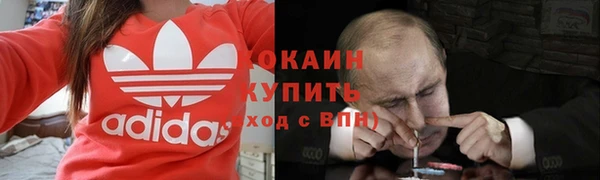 стафф Бородино
