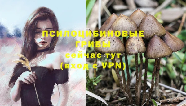 наркотики Бронницы