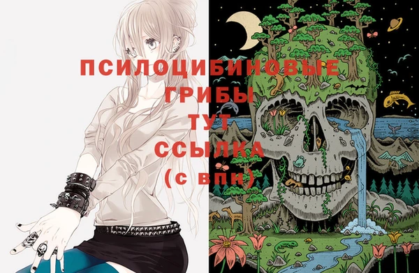 прущая мука Богородск
